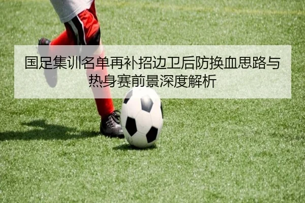 国足集训名单再补招边卫后防换血思路与热身赛前景深度解析